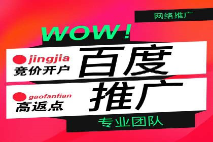 竞价广告赚钱：百度平台案例分析
